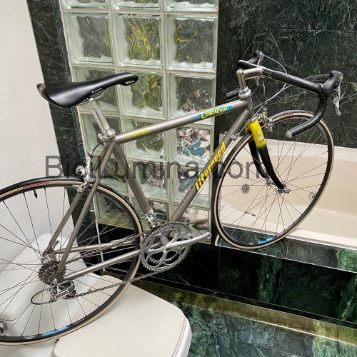 Litespeed Catalyst ficha técnica y opiniones